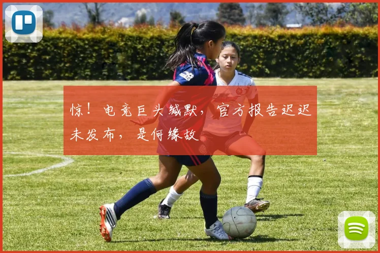 惊！电竞巨头缄默，官方报告迟迟未发布，是何缘故
