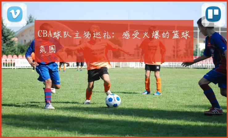 CBA球队主场巡礼：感受火爆的篮球氛围